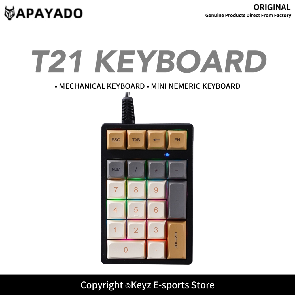 Keyboard Gaming Blue Switch - لوحة مفاتيح رقمية صغيرة T21 مع