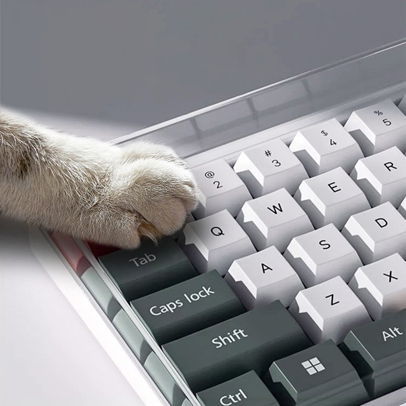 ★ ▲ حافظة لوحة مفاتيح ميكانيكي - مراجعة Keyboard Gaming Transparent وسعره